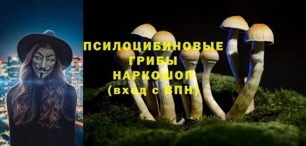 прущий лед Нефтегорск