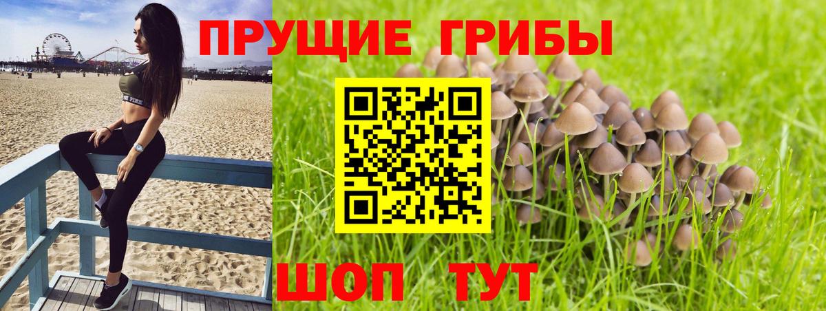 Иркутск  Галлюциногенные грибы Magic Shrooms  Вход с VPN 