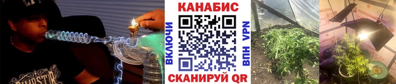 Шишки марихуана планчик где купить наркотик маркетплейс клад Иркутск
